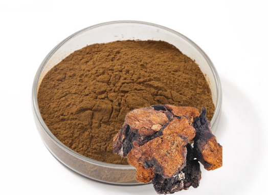 chaga mushroom extract powder.png